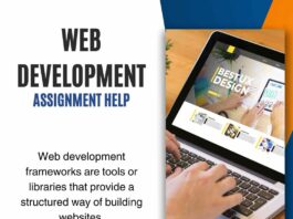 web development assignment help