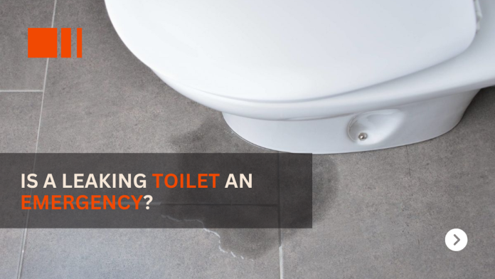 Is a Leaking Toilet an Emergency