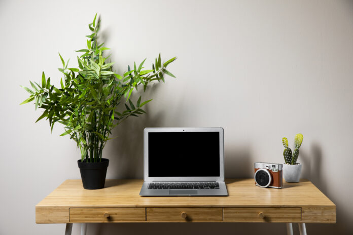 Benefits of Having Plants on Your Desk