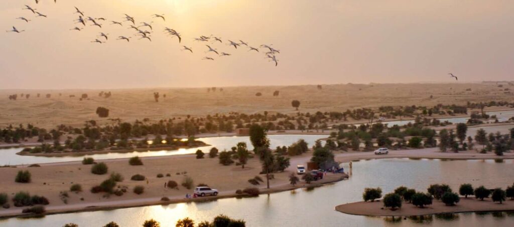 Al Qudra Lake