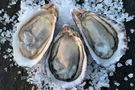 Oyster