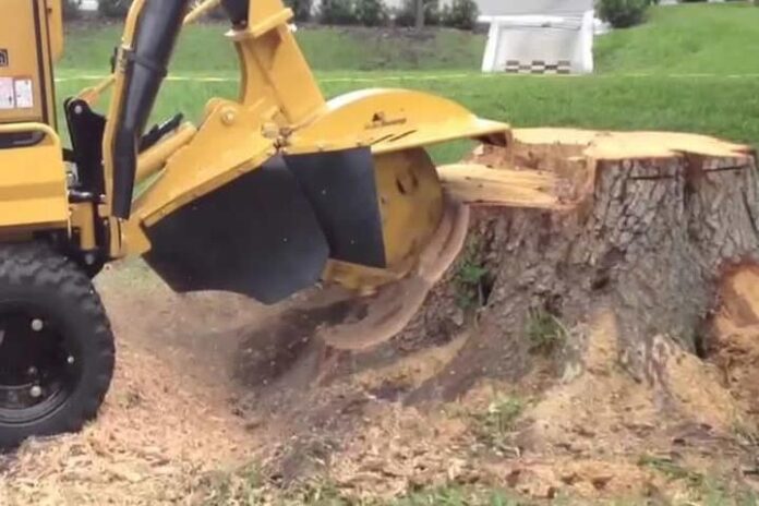 stump grinding