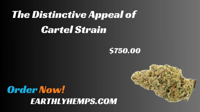 The Distinctive Appeal of Cartel Strain