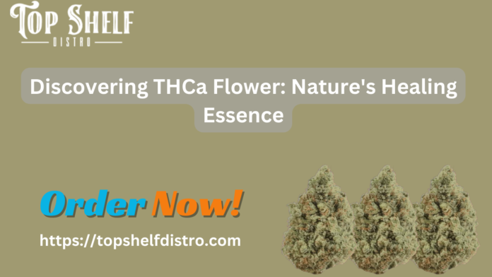 best THCA flower