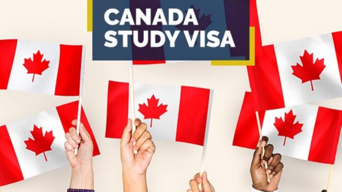 What elements go into a Canadian student visa application?