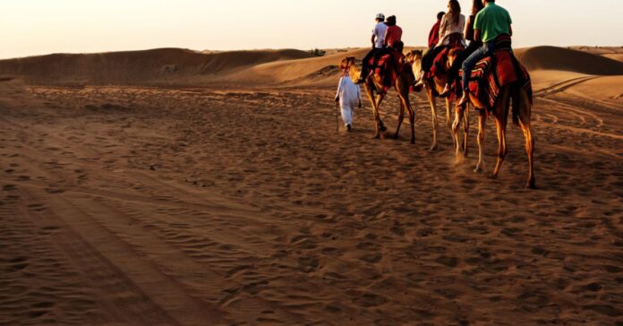 Camel Ride Dubai