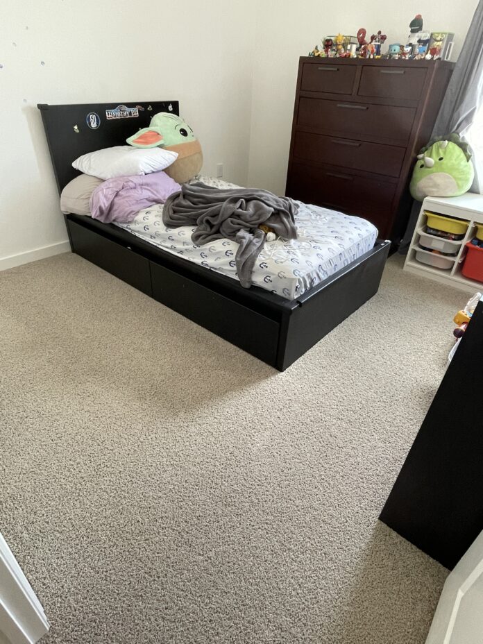 carpet cleaning services in mcKinney tx